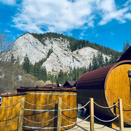 Casutele Suhardul Mic Villa Лаку Рошу Екстериор снимка