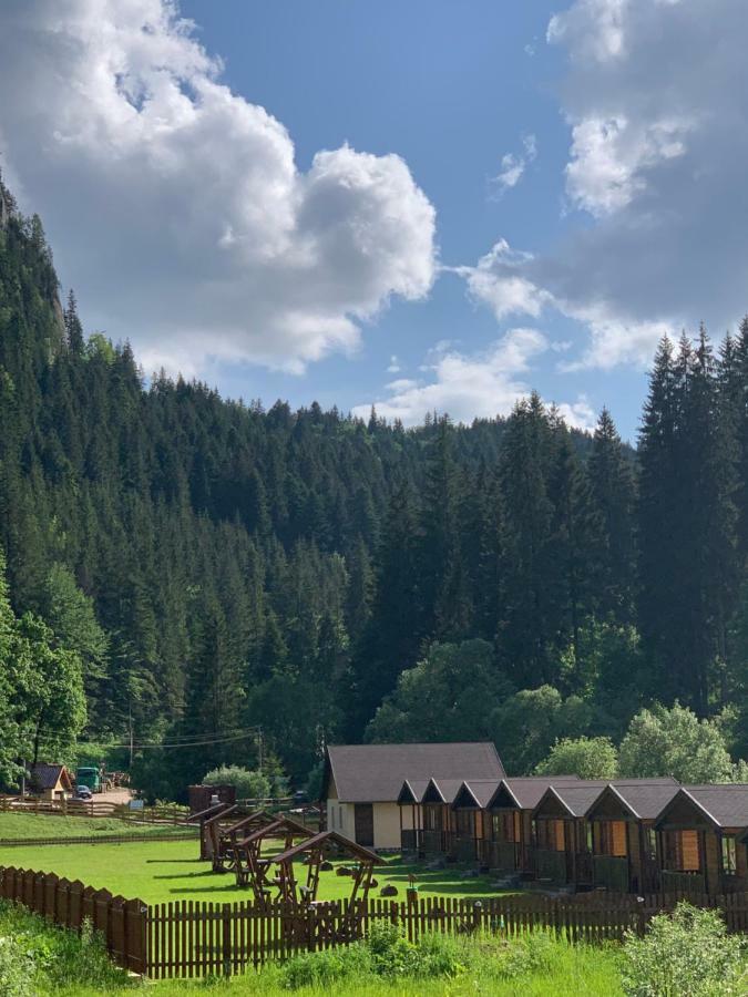 Casutele Suhardul Mic Villa Лаку Рошу Екстериор снимка